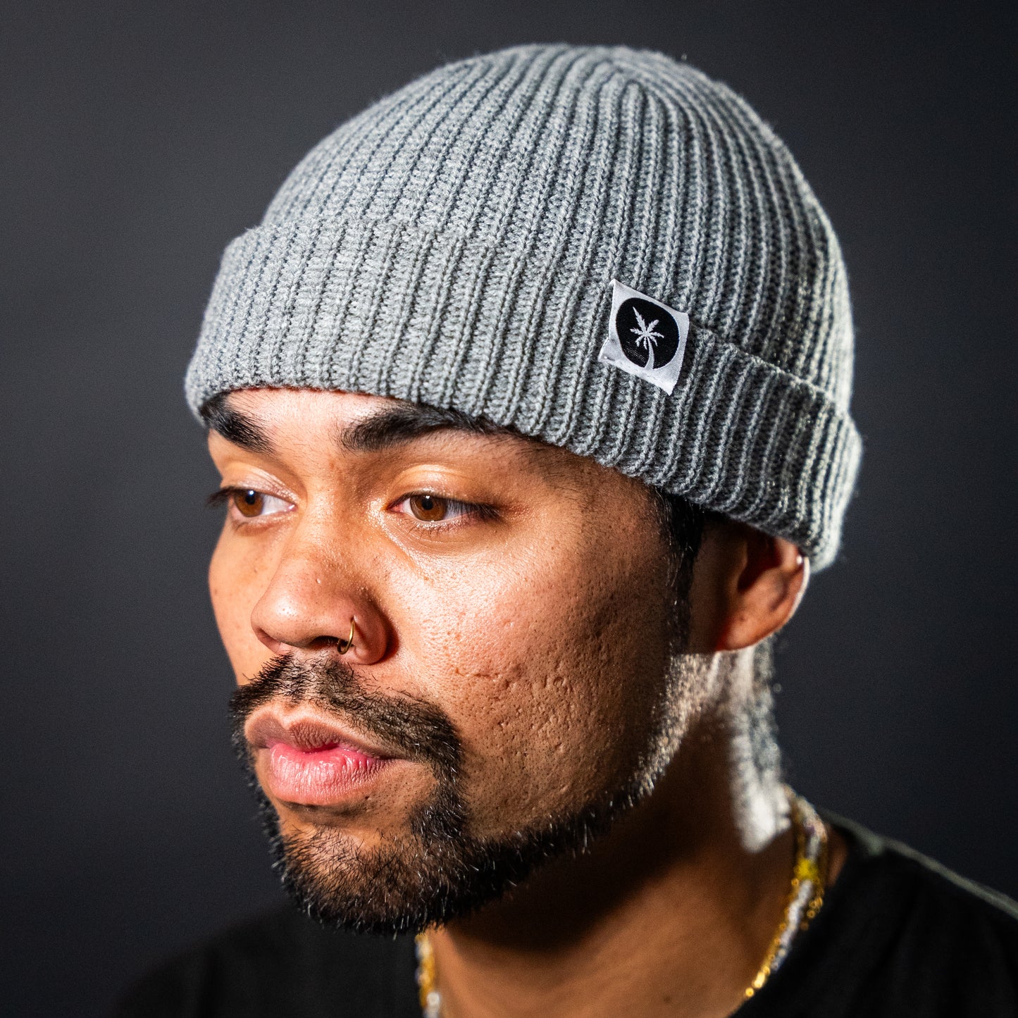 Image of Cheba Hut Beanie in Grey