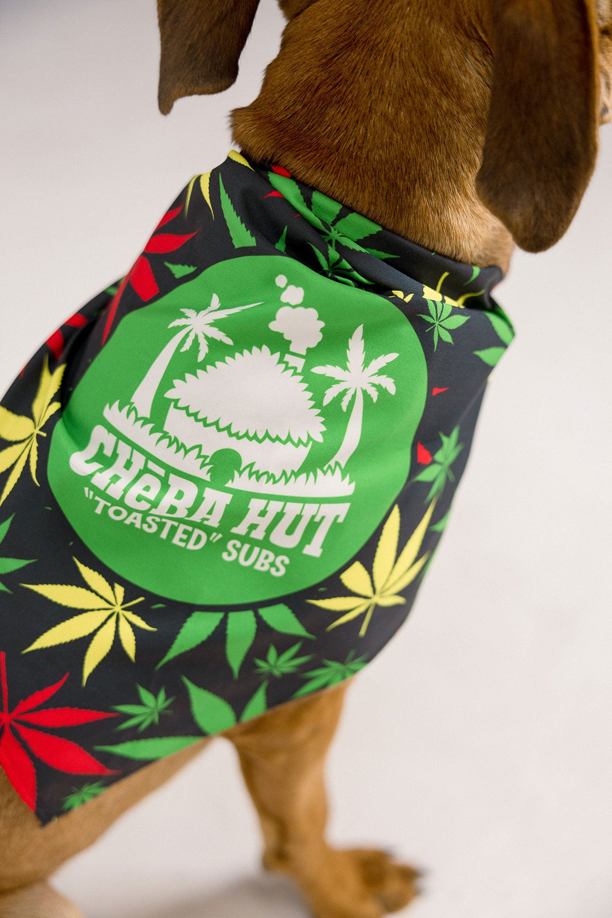 Pet Bandana