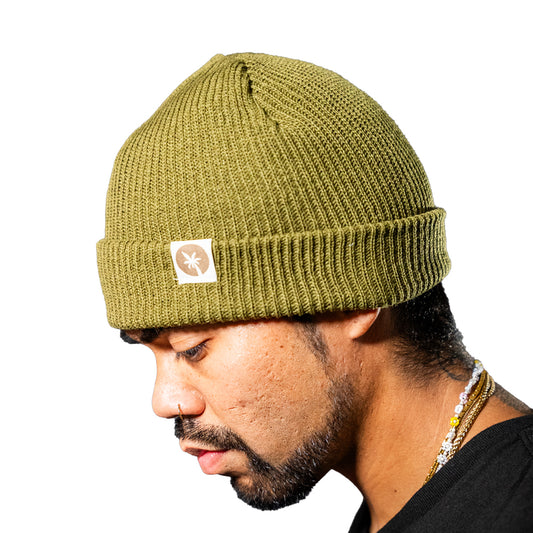 A close-up of a man wearing a green ribbed knit beanie with a small black and white palm tree logo patch on the side, set against a plain white background.