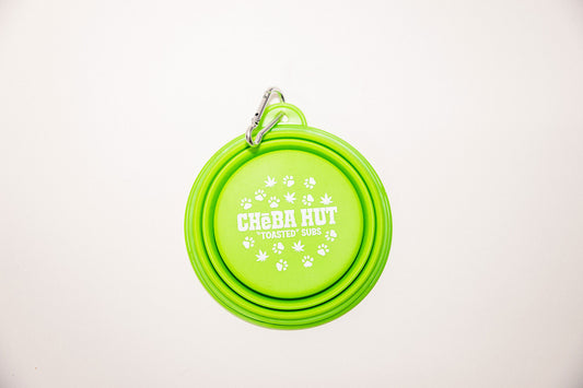 Collapsible Dog Bowls Lime